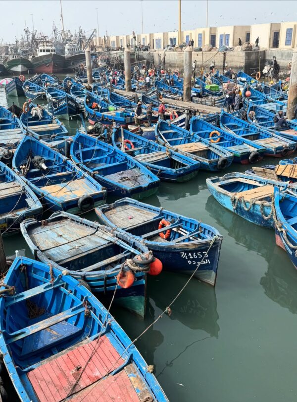 Morocco group Tours