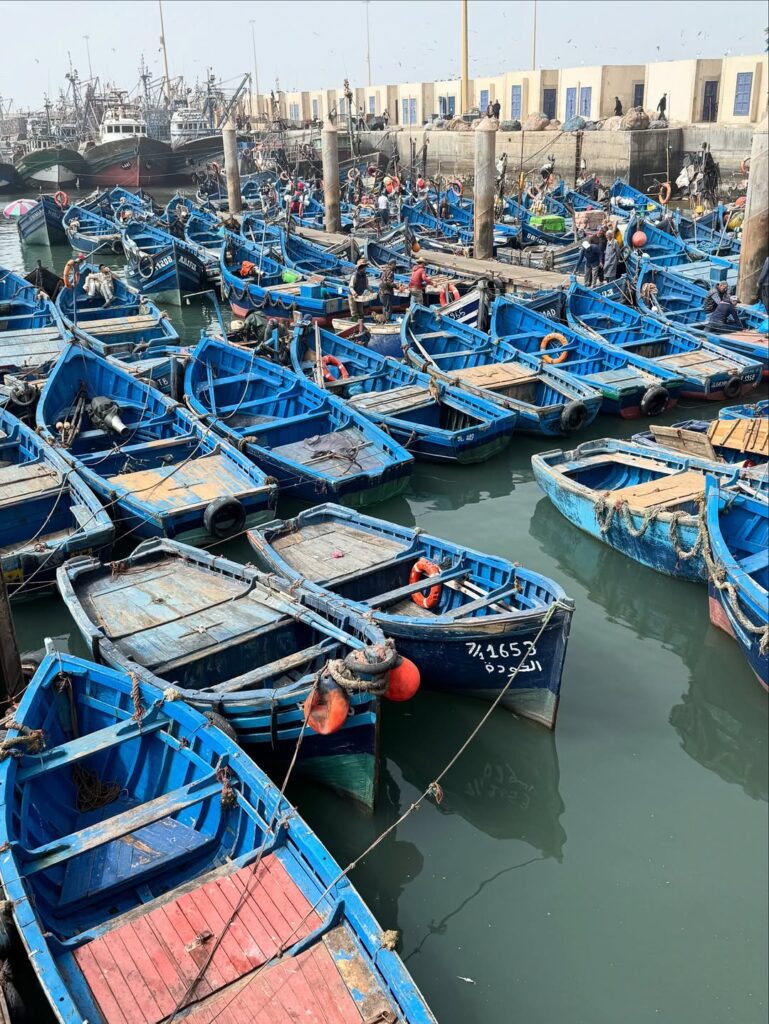 Morocco group Tours