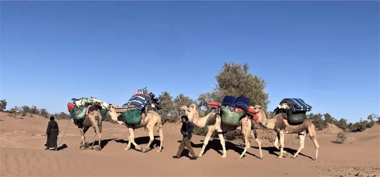 10 day Morocco tour