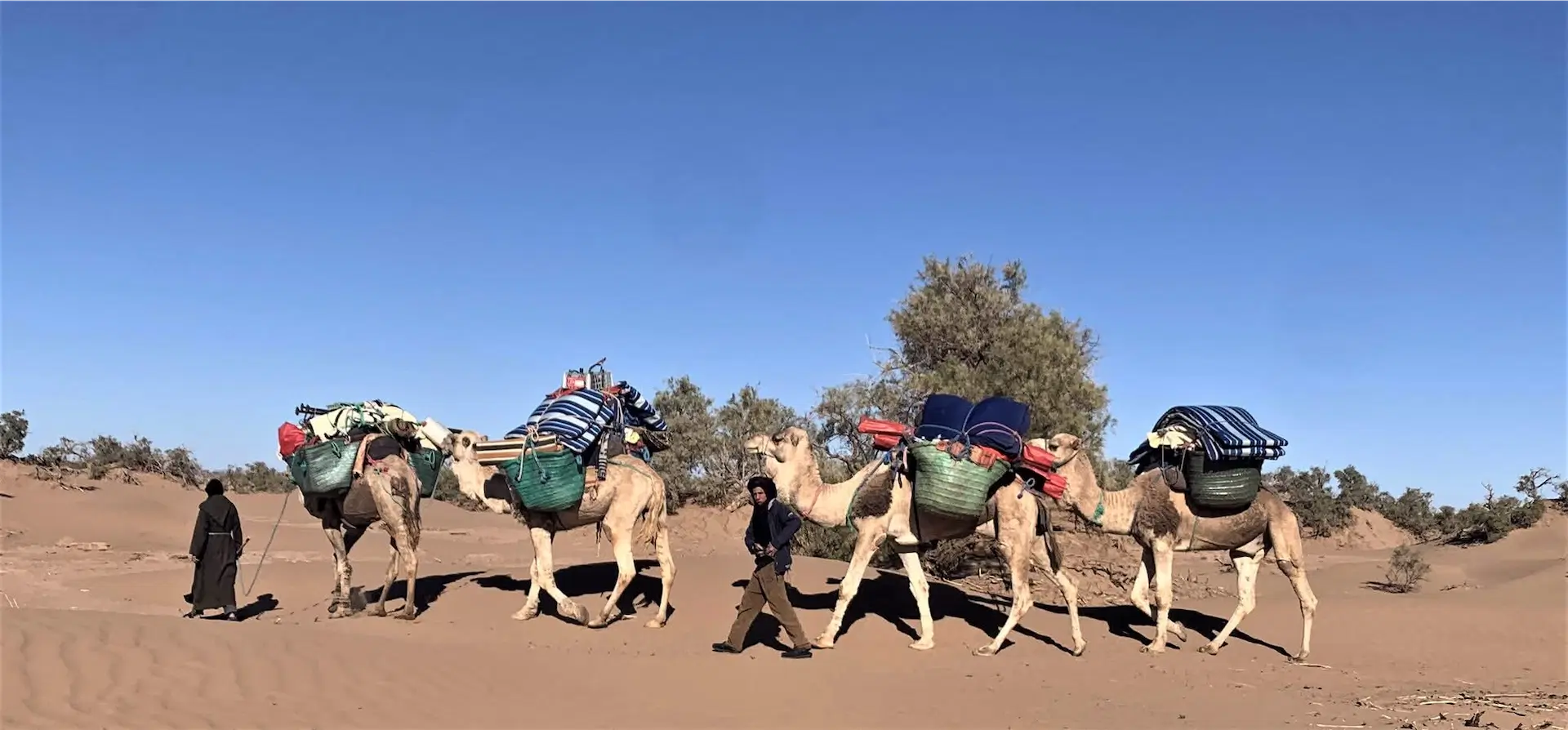 Morocco Group Tours