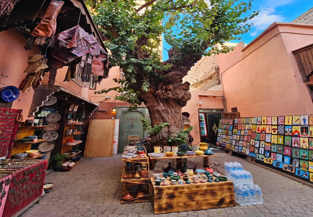 Morocco Group Tours