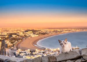 winter in Morocco